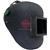 1371  Prota Shell Baby 4 1/4