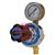 H1078  847 Oxygen Pipeline Regulator - Rear Entry 1/4NPT, 25 Bar Max Inlet - 10.0 bar