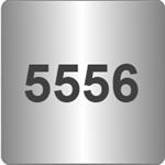 TIG 5556